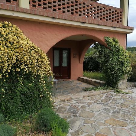 Apartma Villa Cedole Chabby Chick Piran Ngoại thất bức ảnh